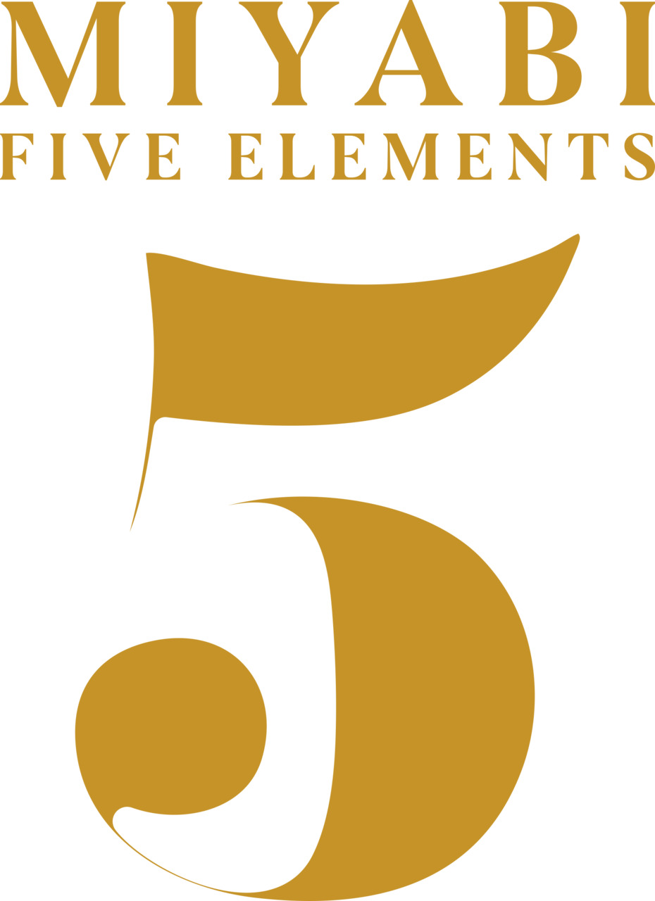 のむ天然おだし　雅結寿 イメージ