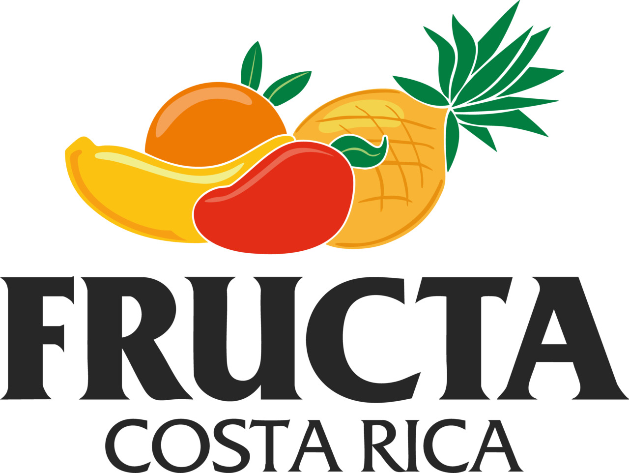 FRUCTA CR イメージ