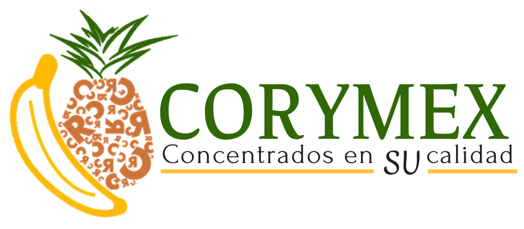 INVERSIONES CORYMEX MCR イメージ