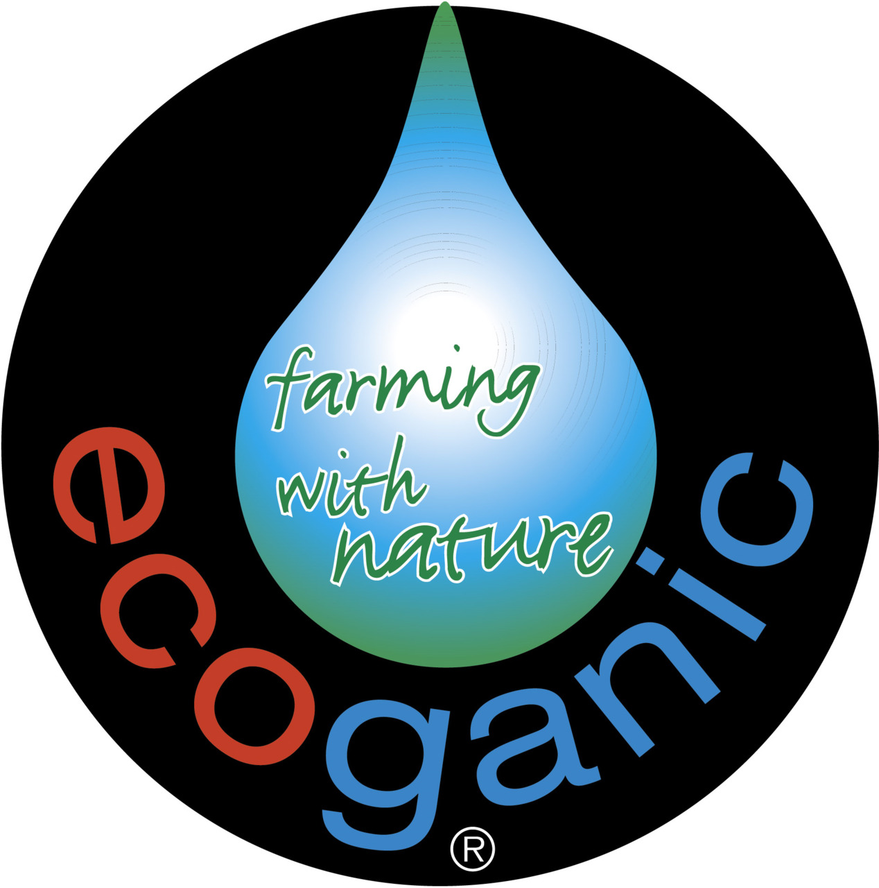 パシフィック　コースト　エコ　バナナ イメージ