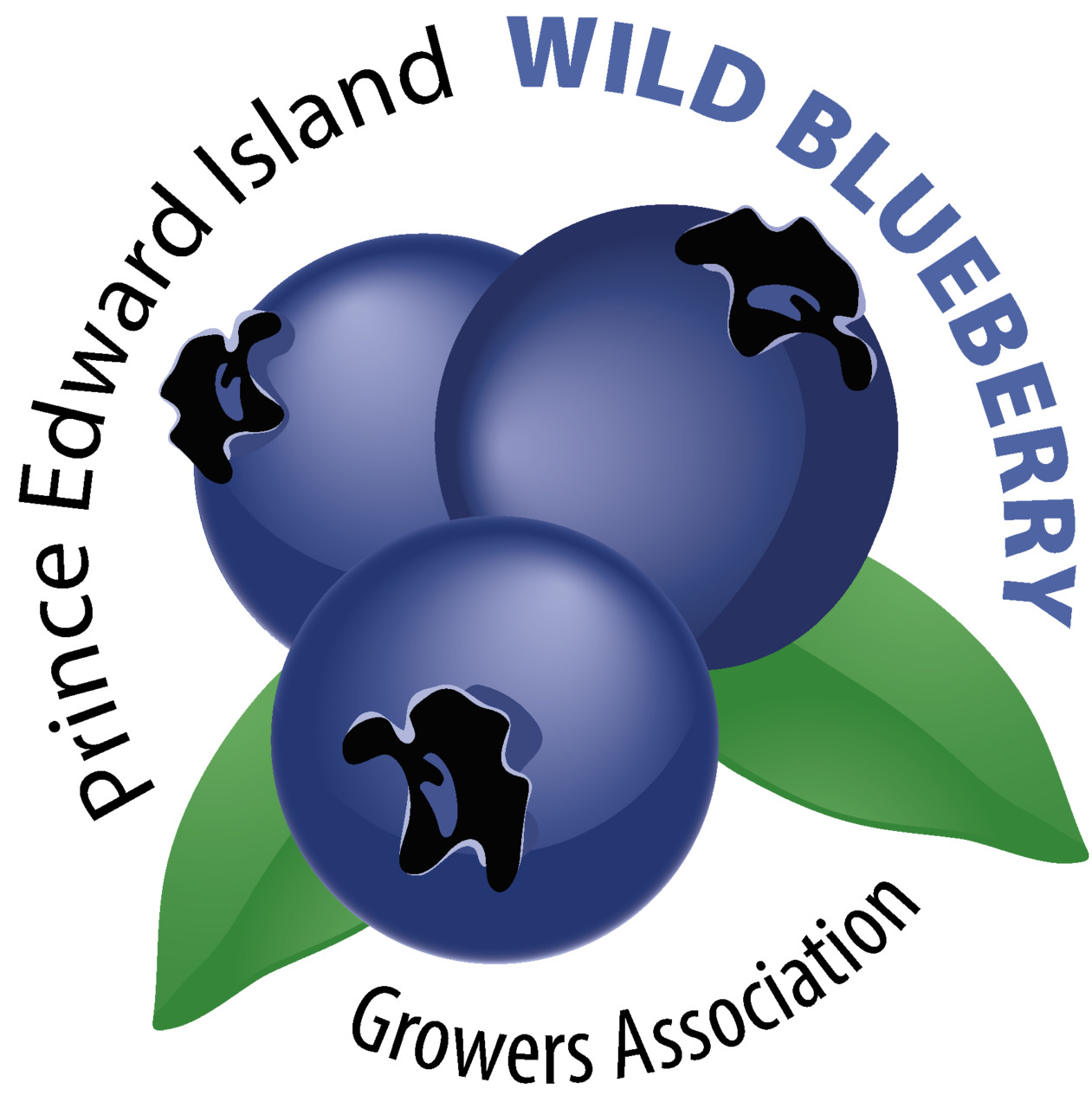 PEI Wild Blueberry Growers Association イメージ