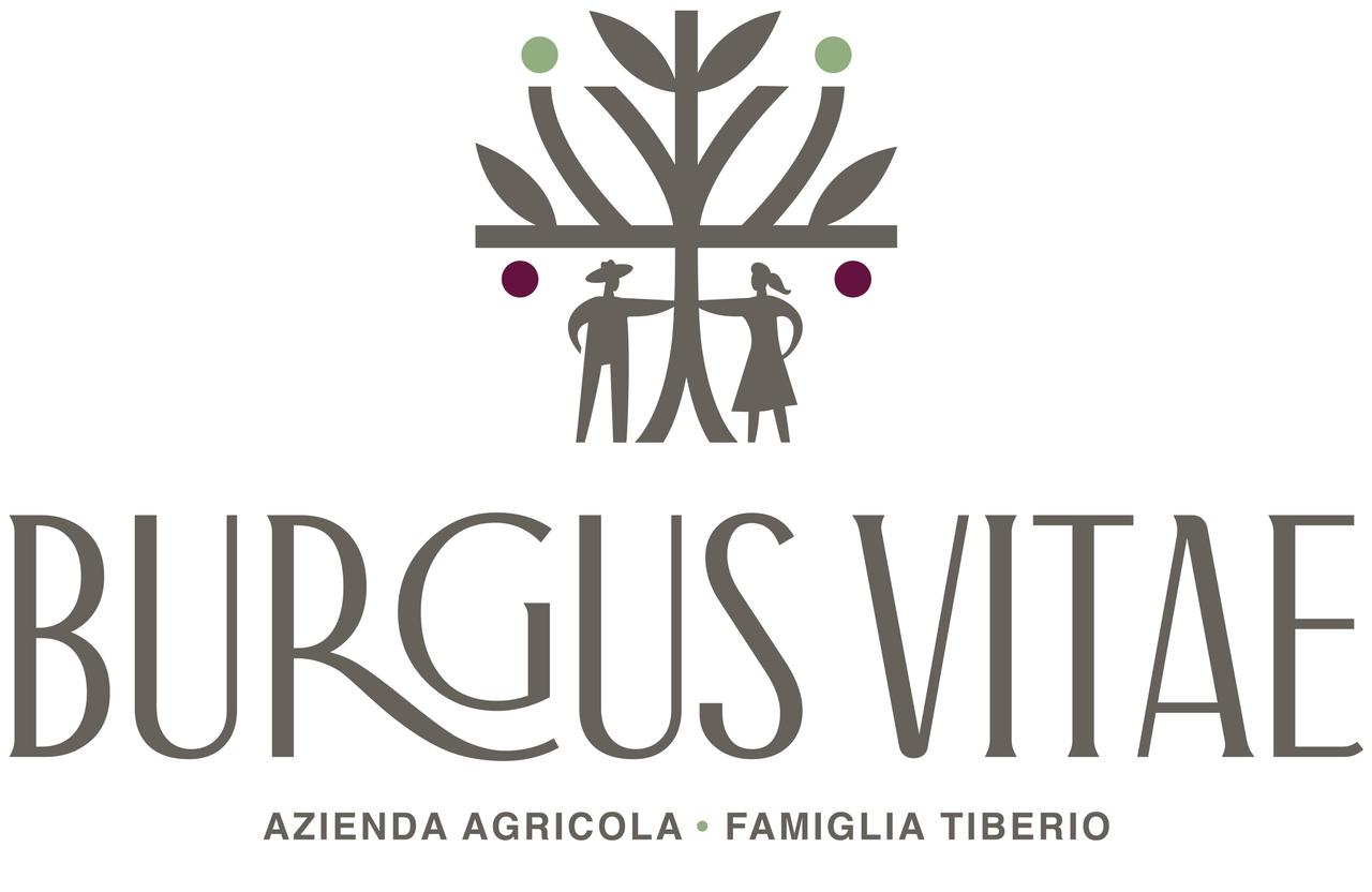 ブルグス・ヴィーテ イメージ