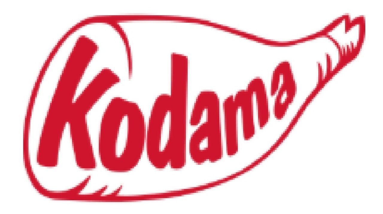 コダマ イメージ