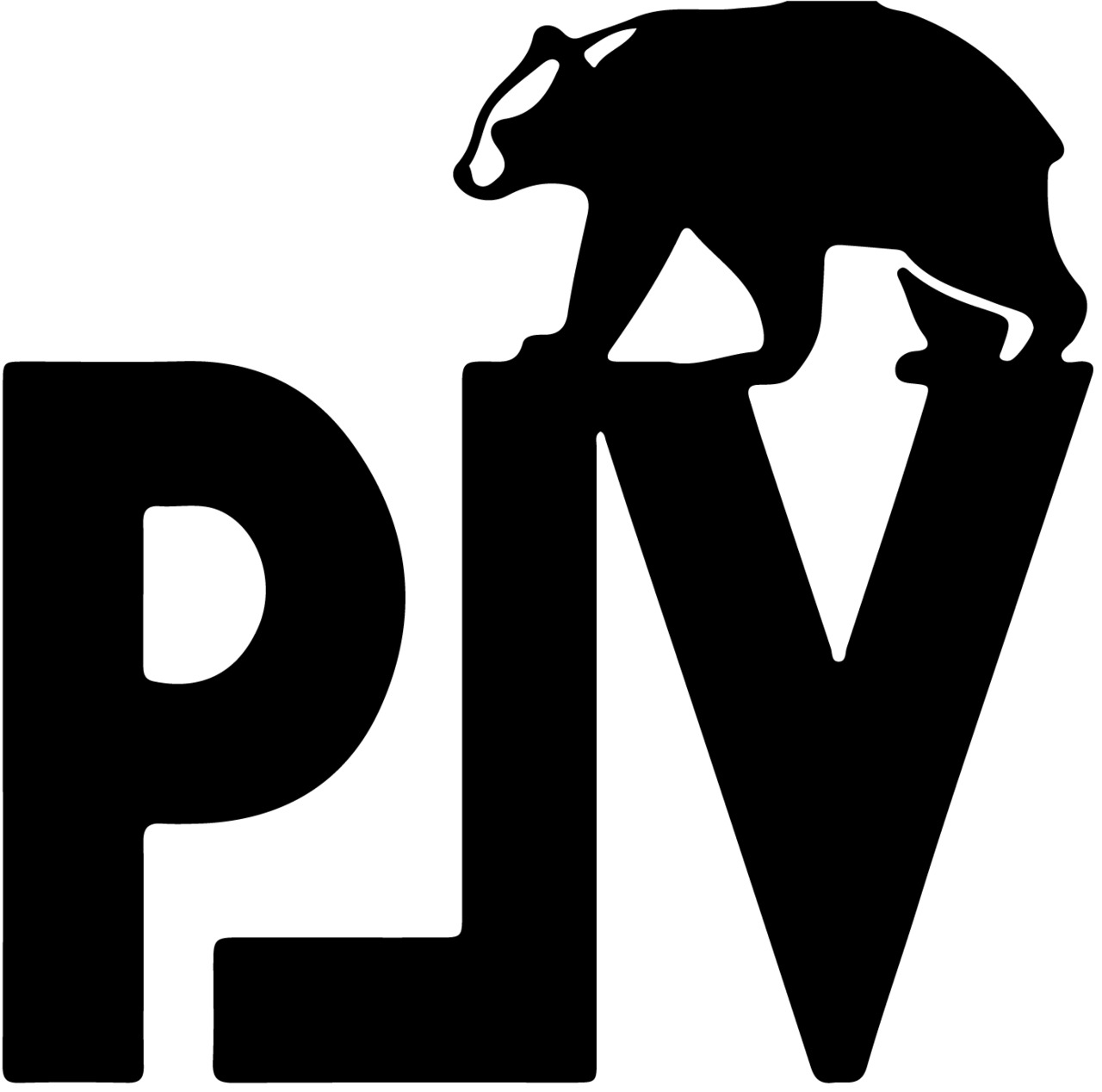 POLARVIDE イメージ