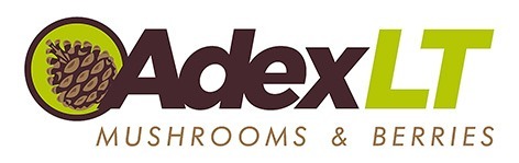 Adex LT イメージ