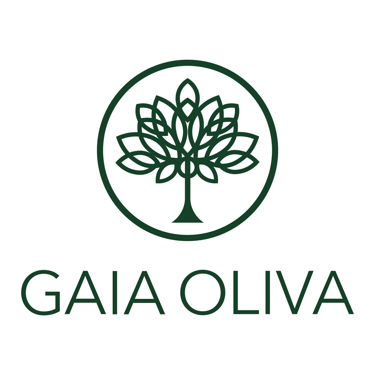 ( GAIA OLIVA ) ARCAN DANISMANLIK GIDA SAN VE TIC A.S イメージ