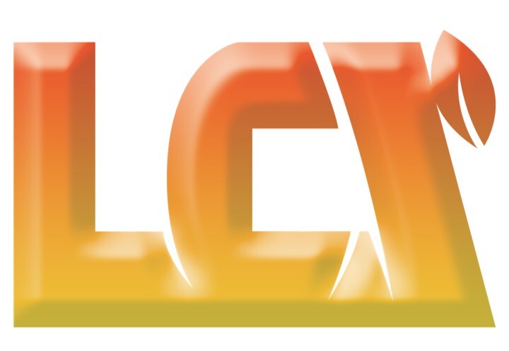 株式会社エルシックス イメージ