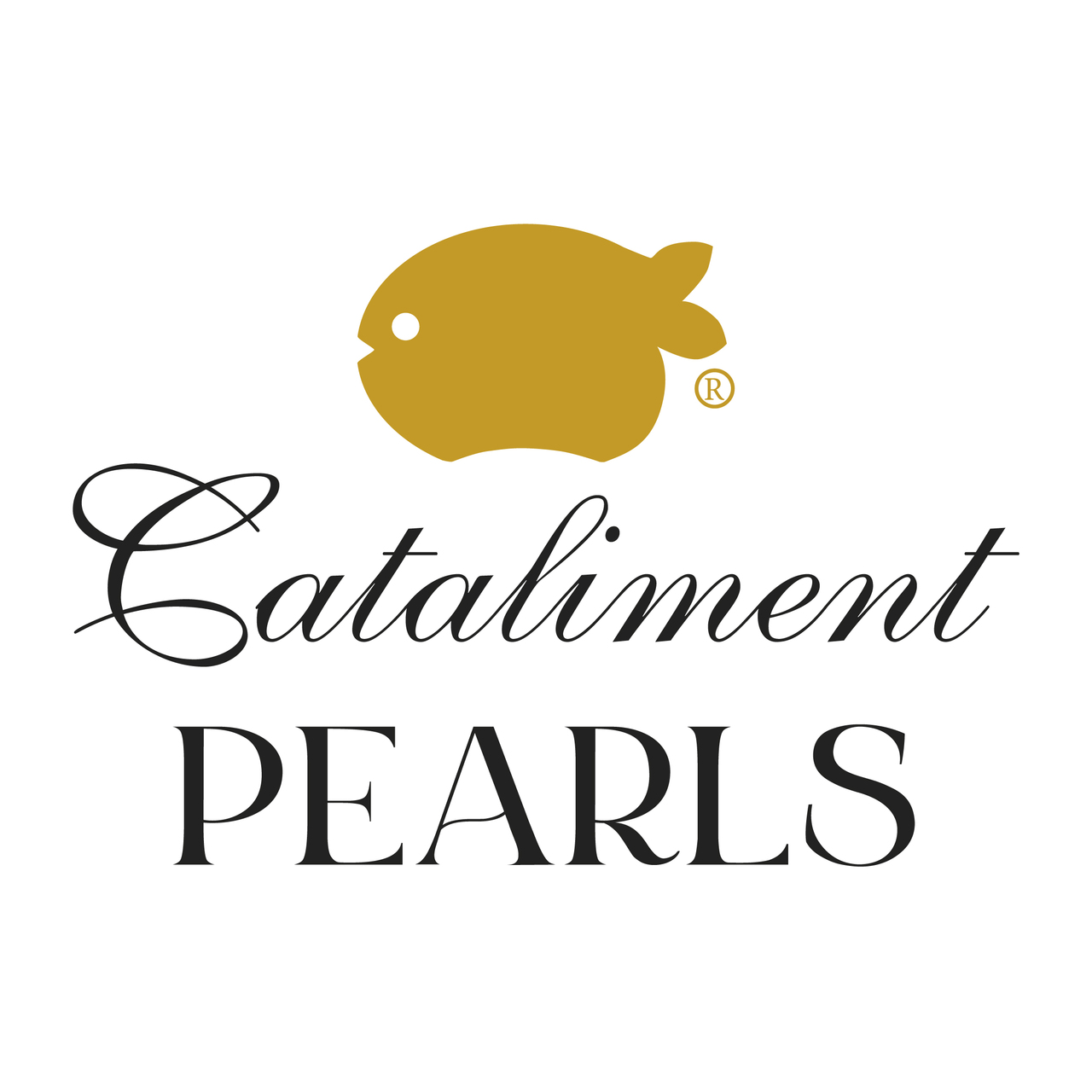 CATALIMENT イメージ