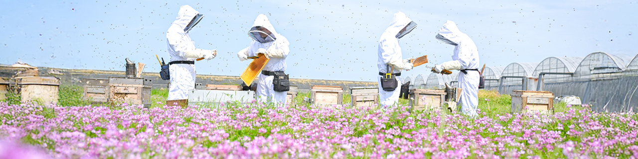 杉養蜂園 イメージ