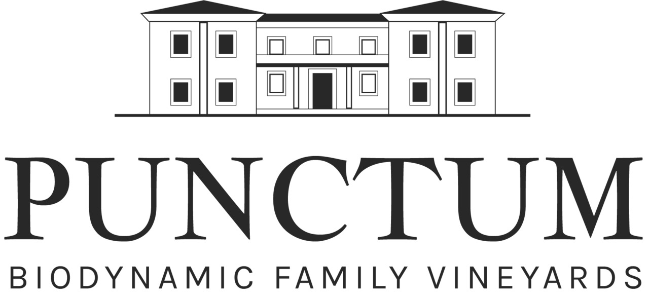 DOMINIO DE PUNCTUM Image