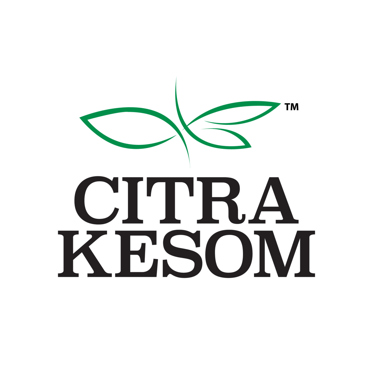 CITRA KESOM SDN BHD イメージ