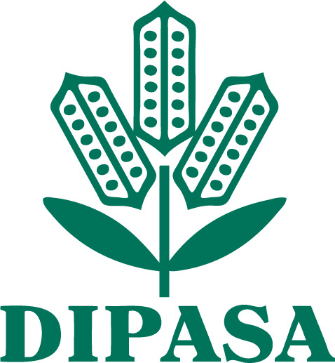 DIPASA INTERNATIONAL イメージ
