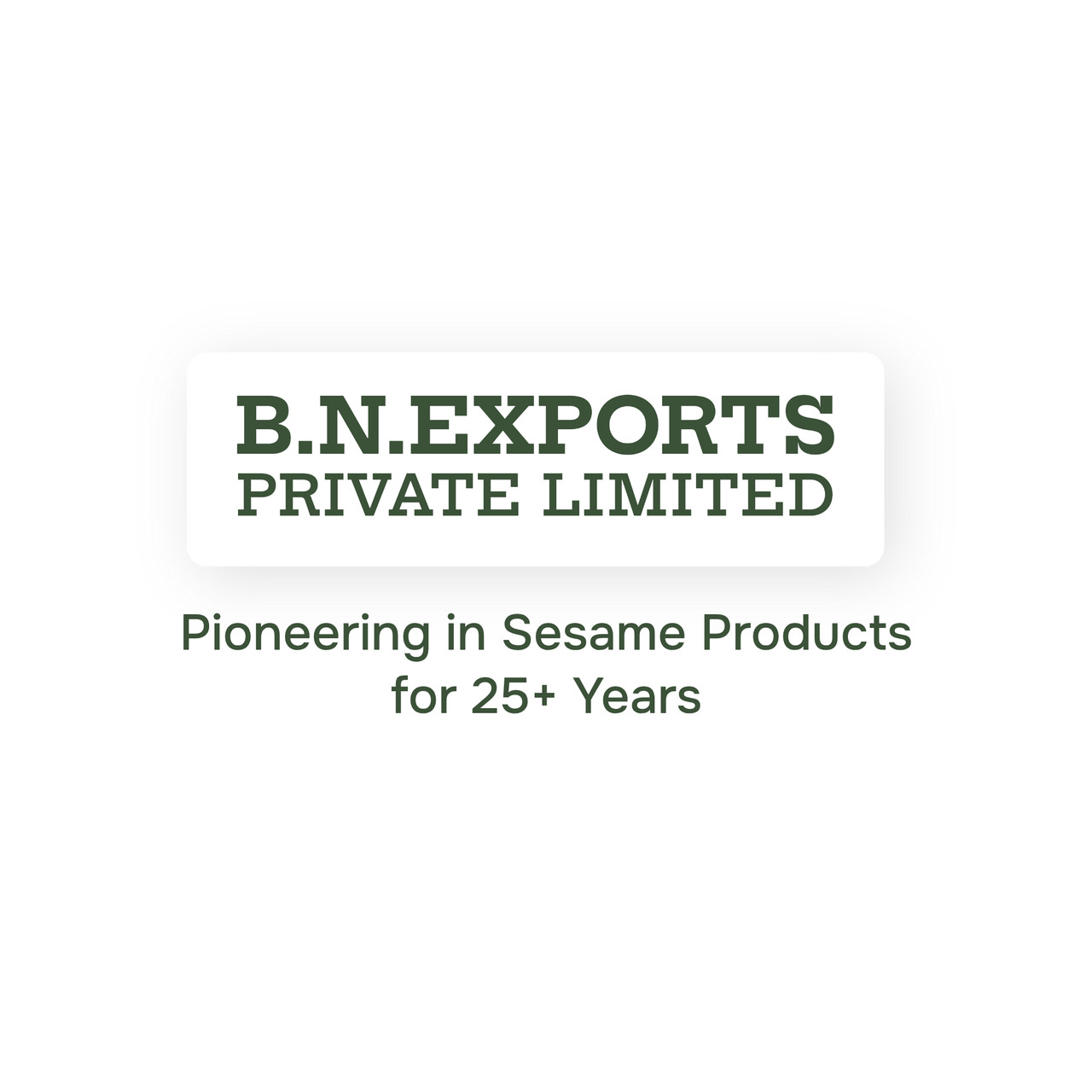 B. N. EXPORTS イメージ