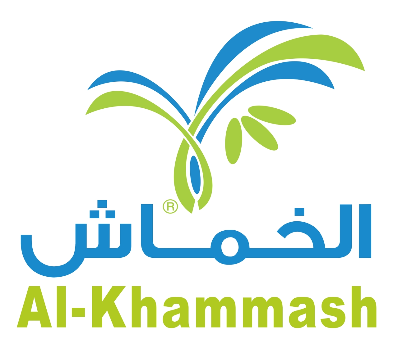 Maisara Yousef イメージ