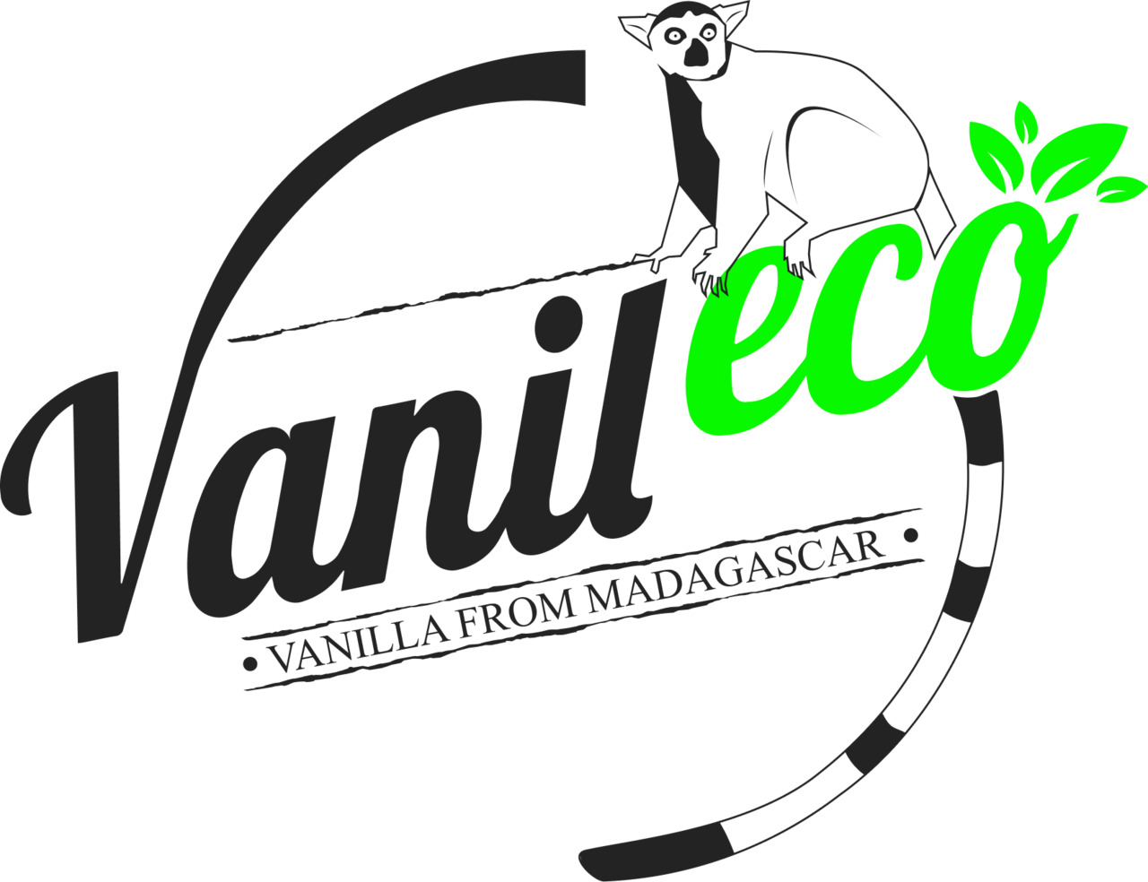 MADAGASCAR VANILECO イメージ