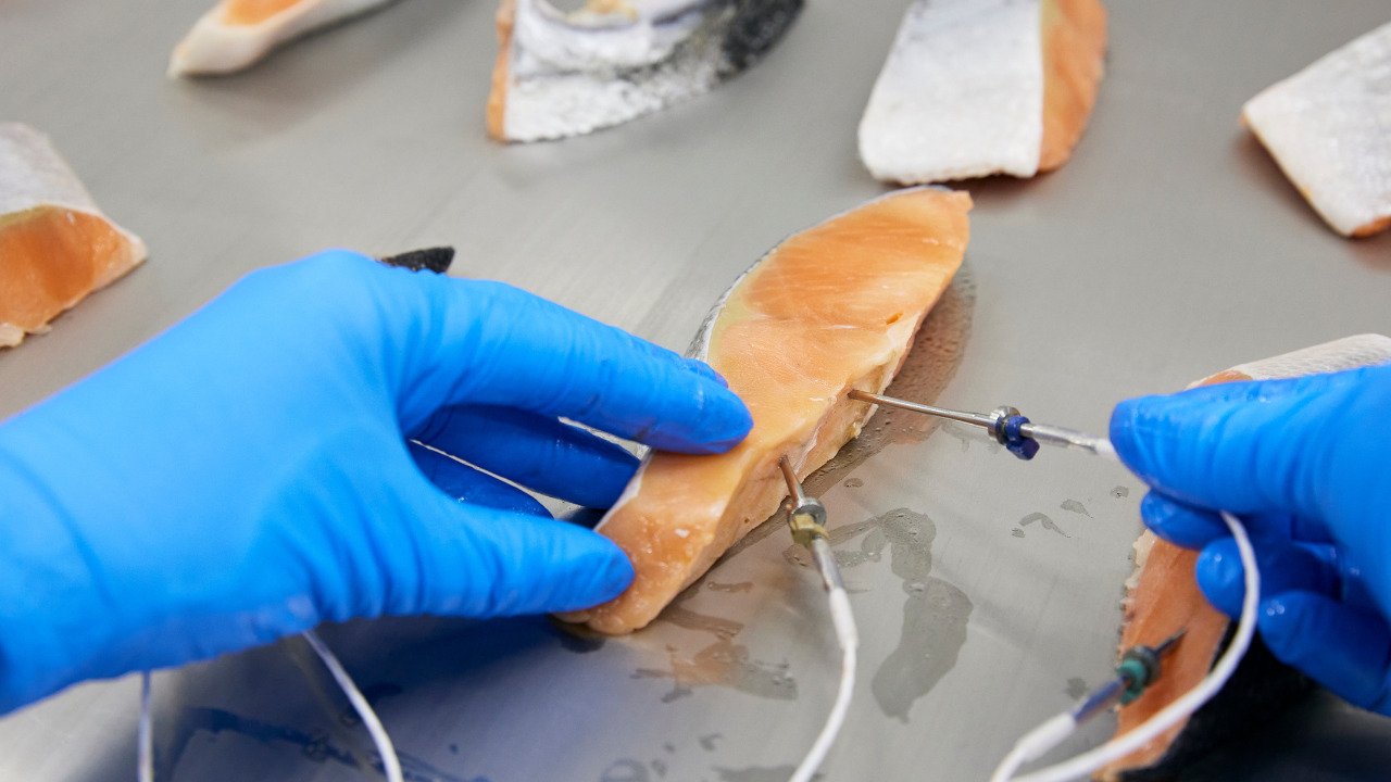 冷凍ノウハウと食品冷凍の科学 Image