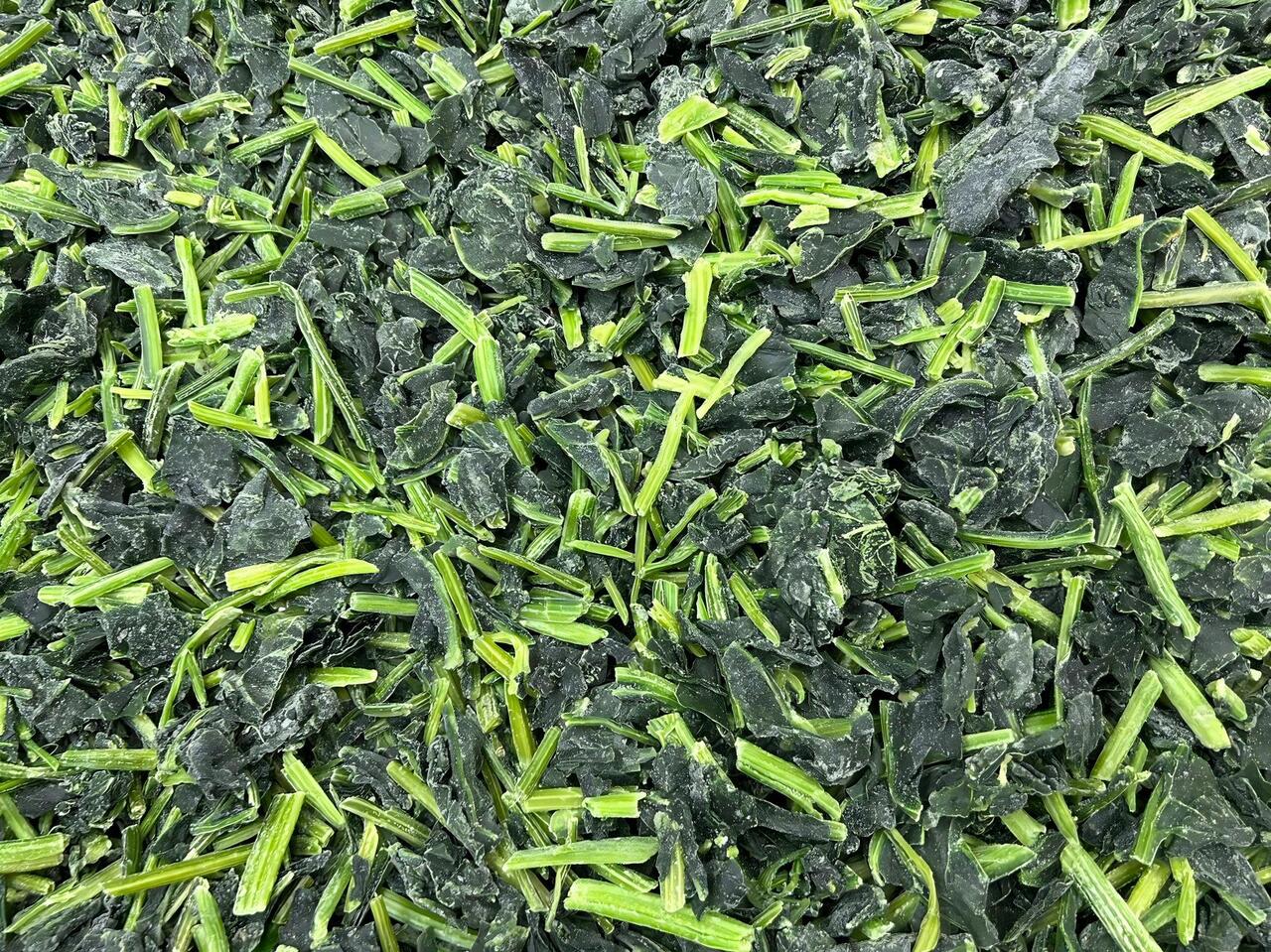 冷凍ほうれん草 イメージ