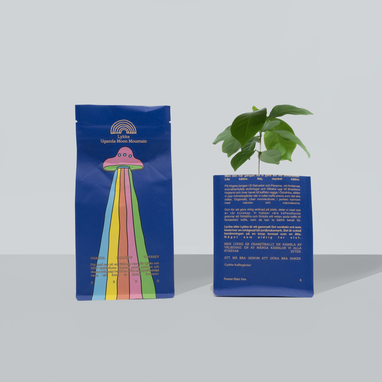 UFO Filter coffee Image