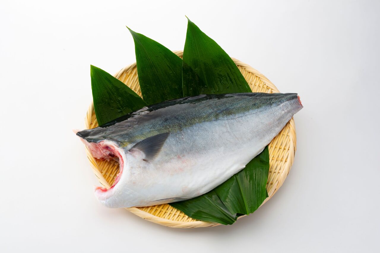 Kochi Prefecture farmd yellowtail fillet Image