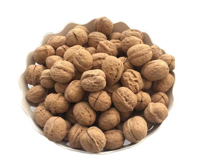  walnuts Image