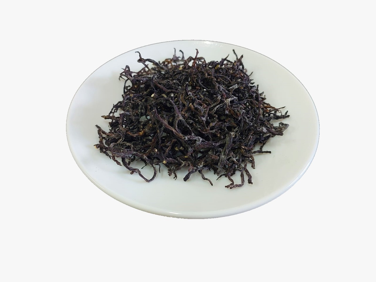 Gracilaria Salicornia - Seaweed from Mauritius Image