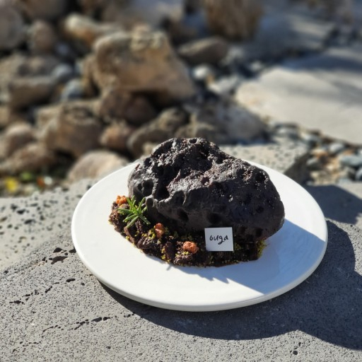 五友歌玄武岩ケーキ Image