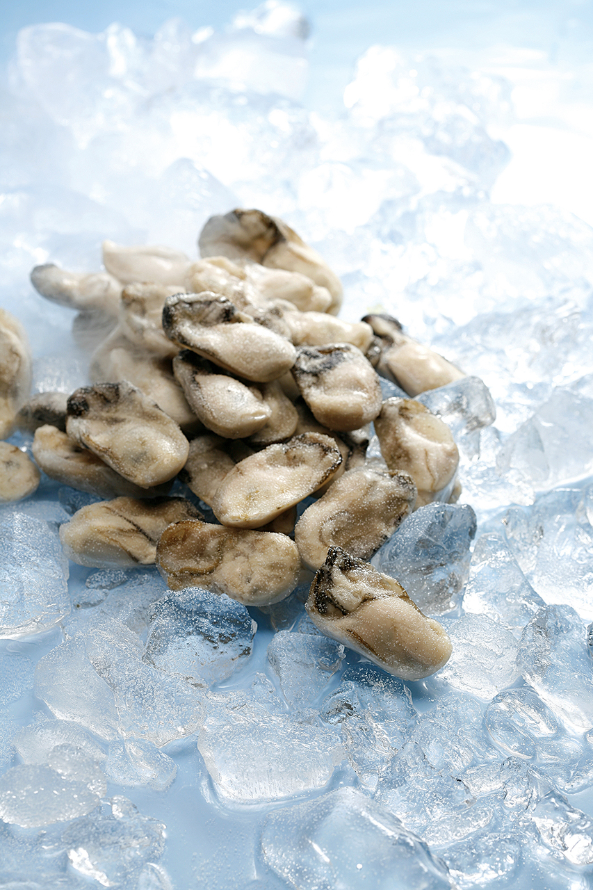   FROZEN OYSTER Image