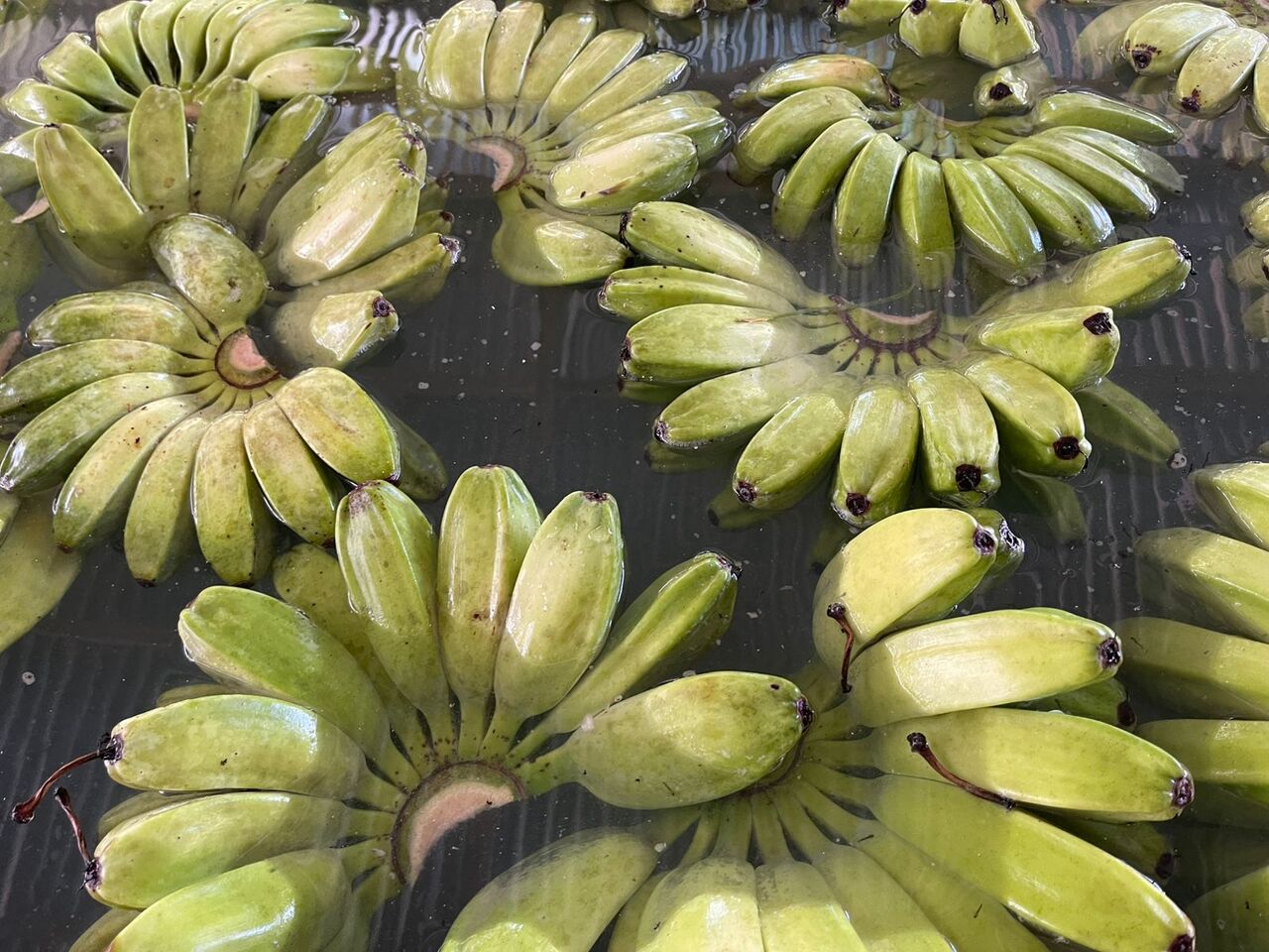 Fresh Cardava Banana Image