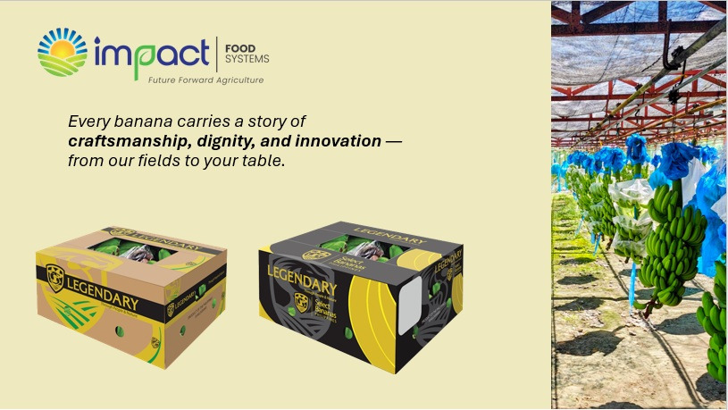 Fresh Cavendish Banana Image