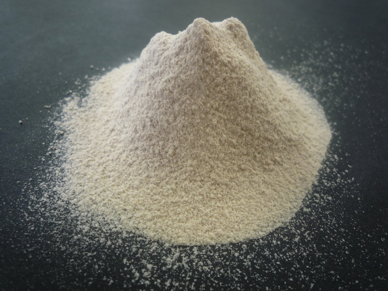 乾椎茸　微粉砕（粉末） Image