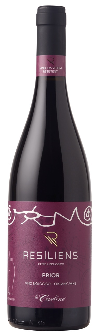 Prior - IGT Veneto - Resistant grape variety (PIWI) Image