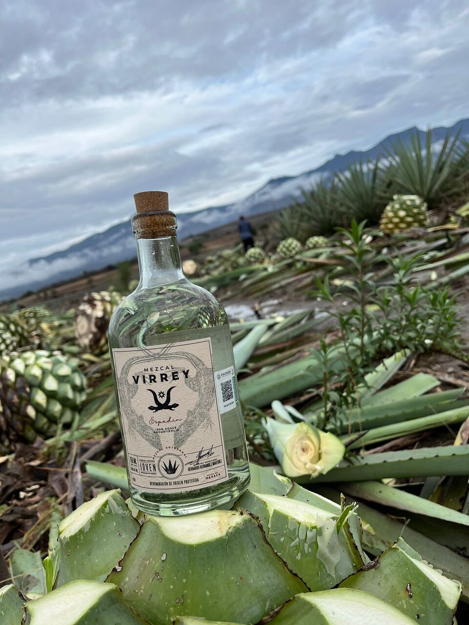 MEZCAL ALACRÁNICO VIRREY Image