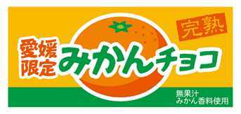 愛媛みかんチョコ イメージ