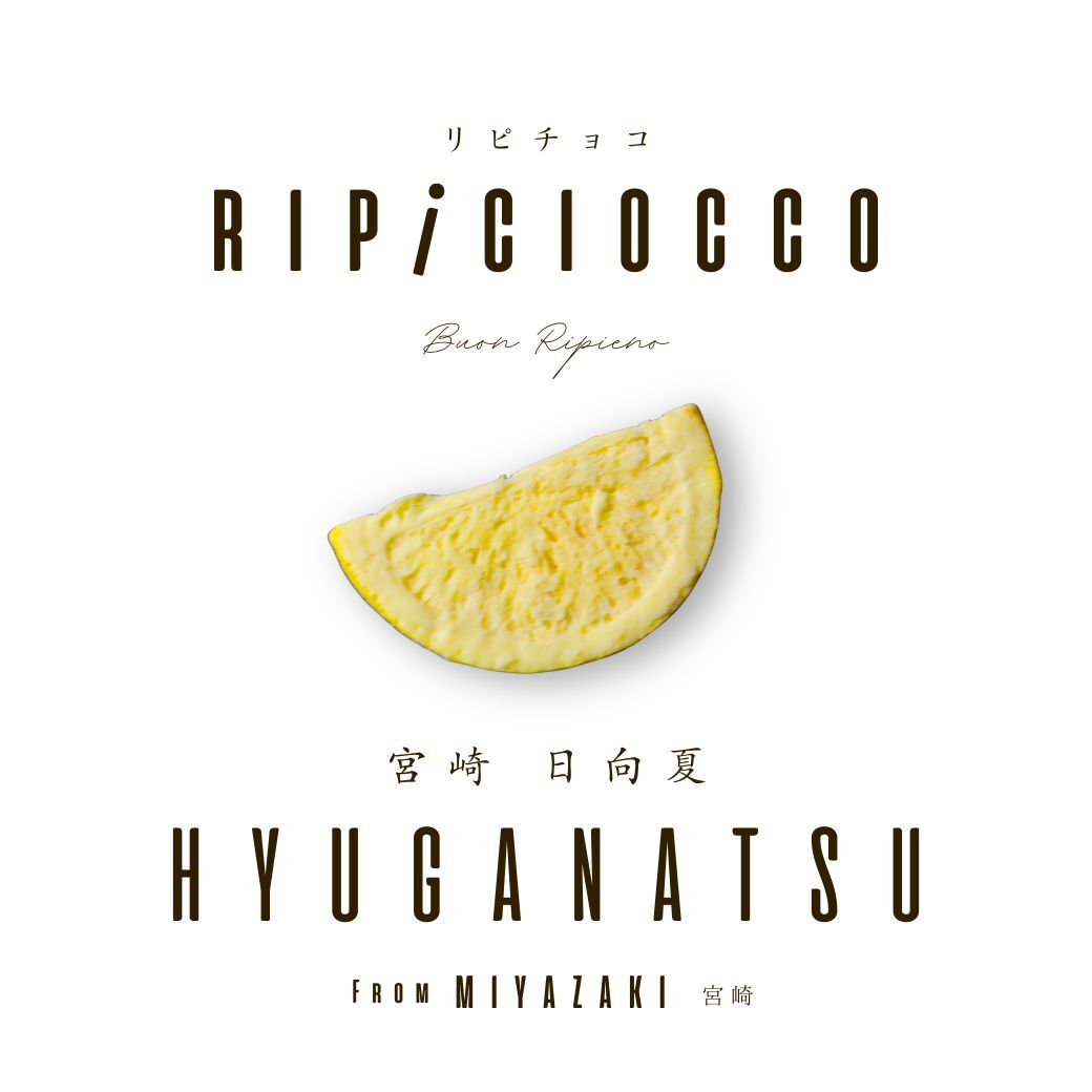 リピチョコ 宮崎県産日向夏(RIPICIOCCO Hyuganatsu From Miyazaki) イメージ