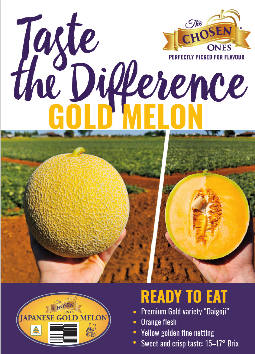 Asian Netted Melons Image