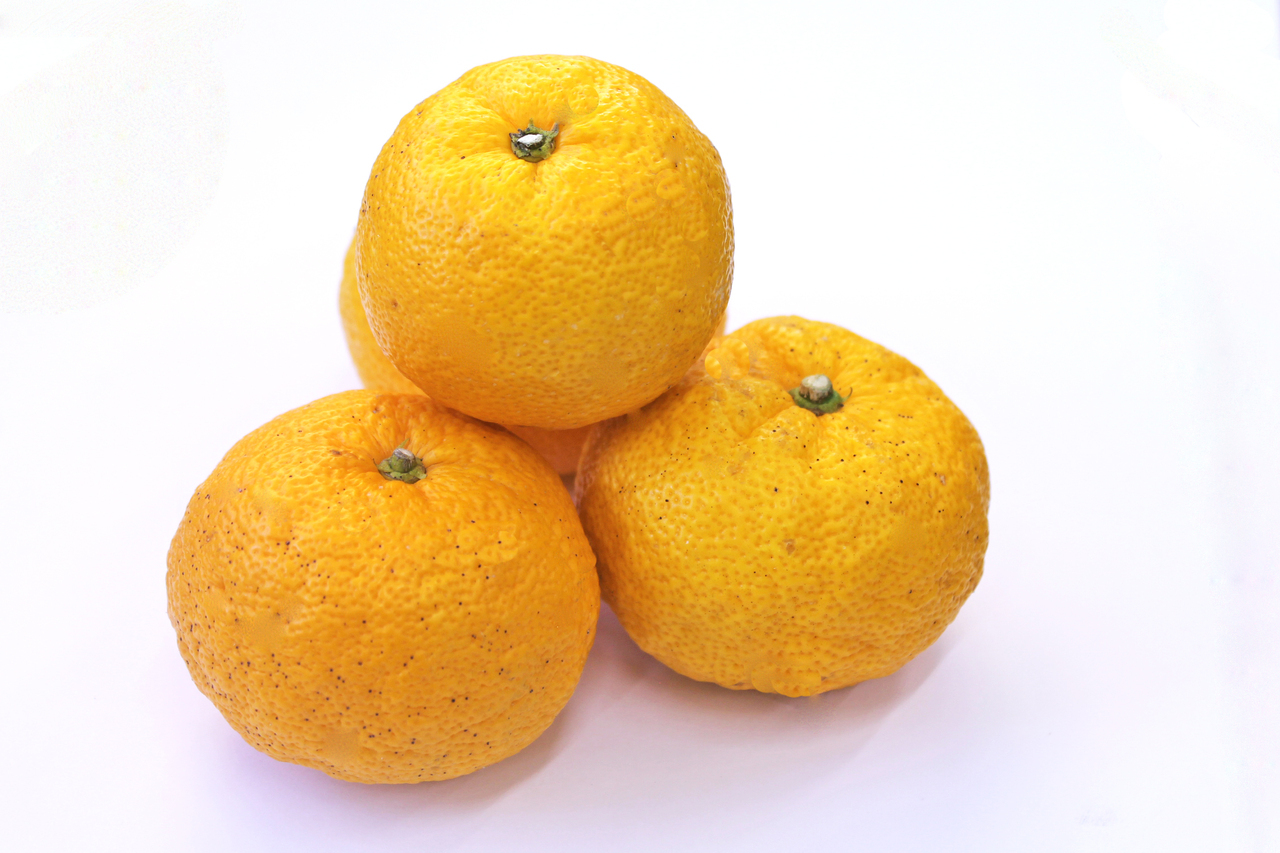 Citrus Fruits (Yuzu, Lemon, etc.), Straight Juice, Fruit Peel Image
