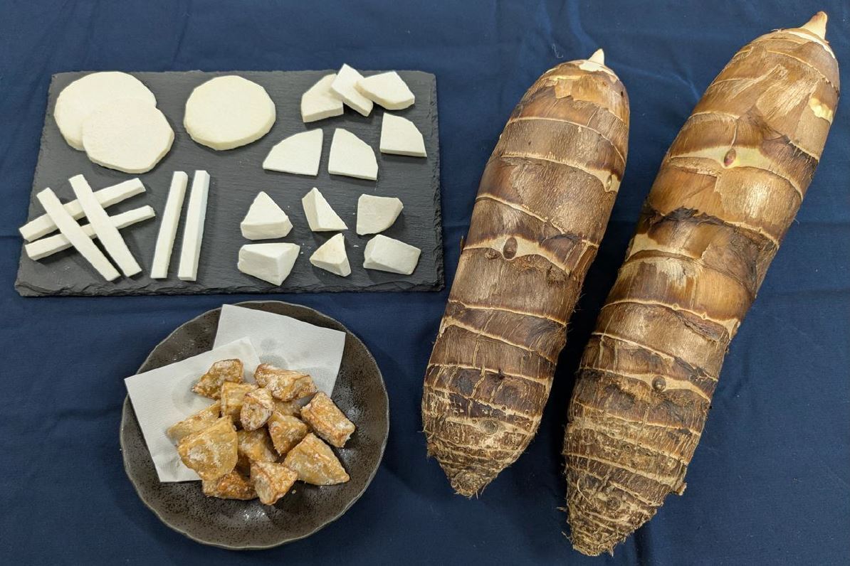 Himekaguya (Japanese Taro Root) Image