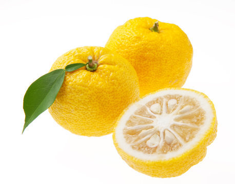 Fruit Juice Ingredient Image