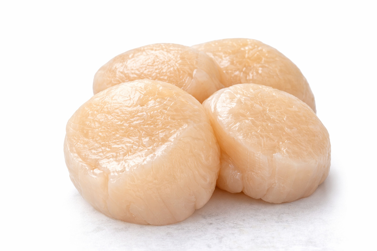 Frozen scallop meat Image