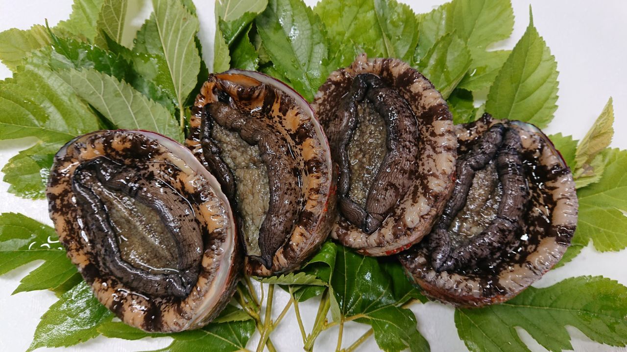 （活）房州黒アワビ、赤アワビ Image