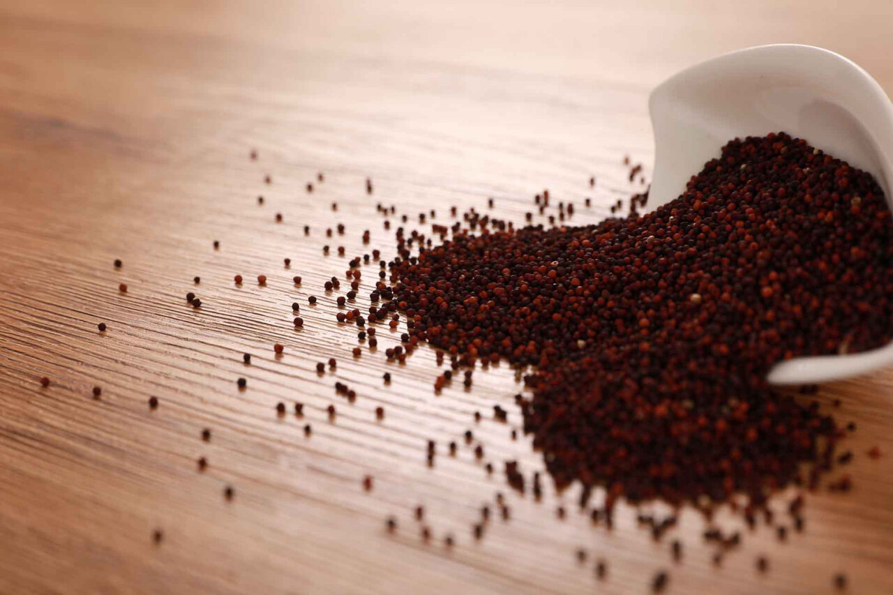 Finger Millet/Ragi (Grain & Flour) Image