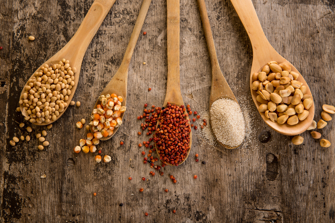 Tom Brown PLUS Image