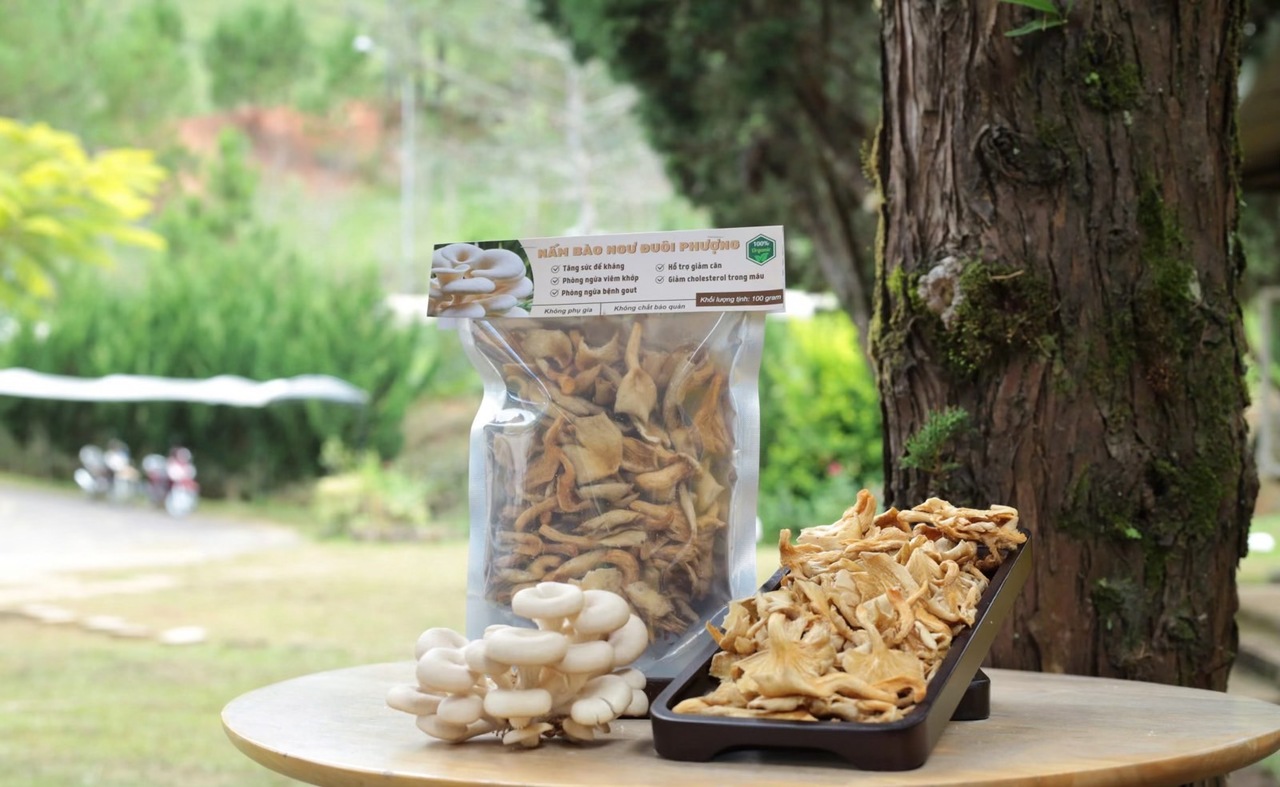 生鮮きのこ、冷凍きのこ、乾燥きのこ、きのこパウダー、きのこスナック イメージ