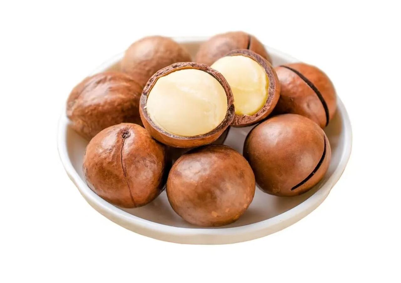macadamia nut イメージ