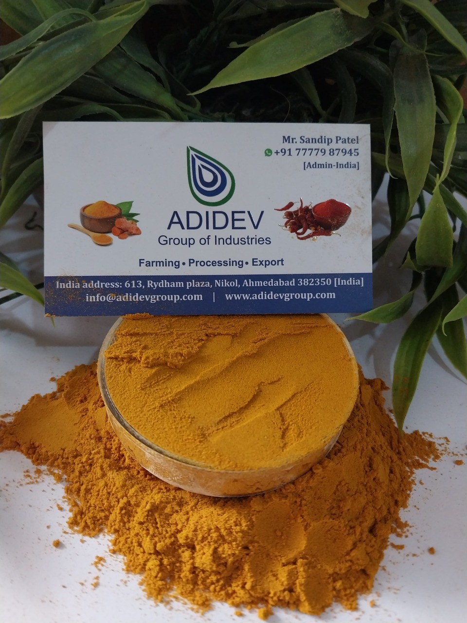 Organic Turmeric Powder (Curcuma longa) – Premium Indian Origin Image