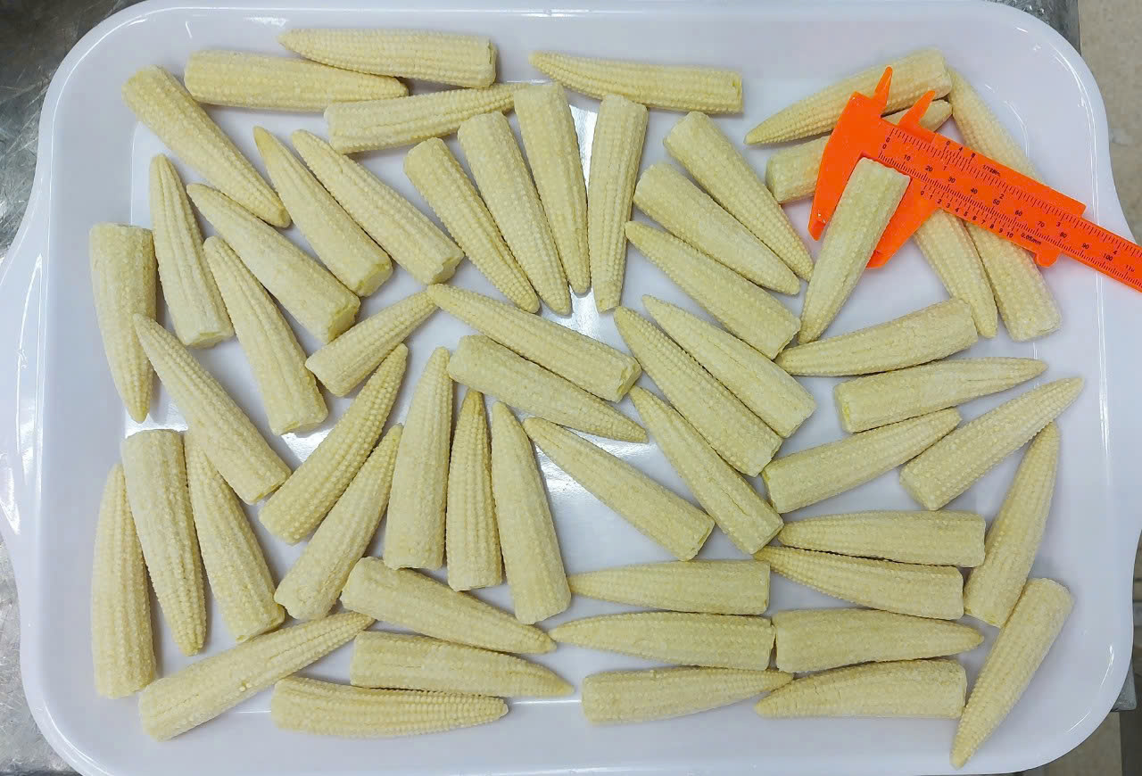 Baby corn Image