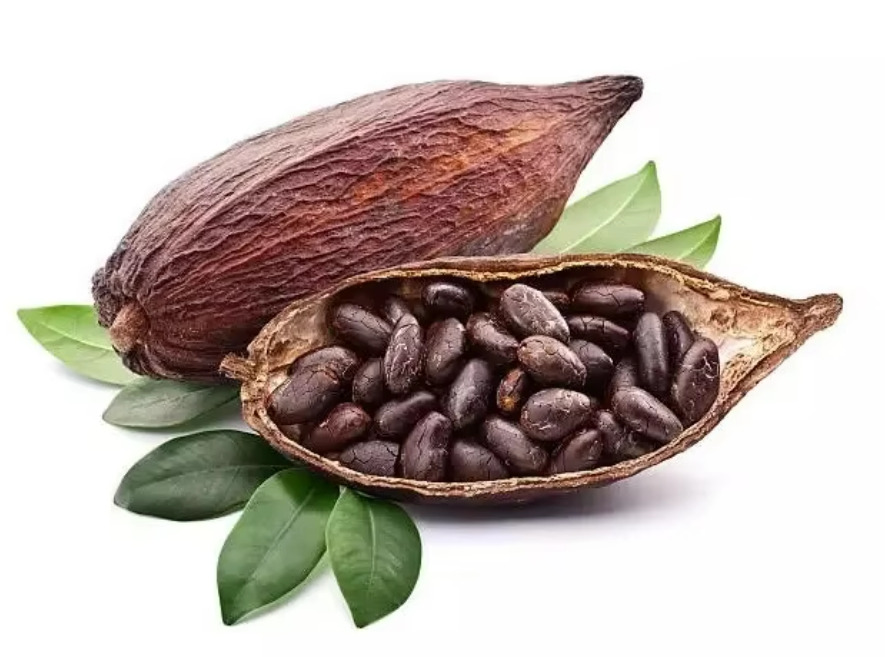 Cocoa Beans Image