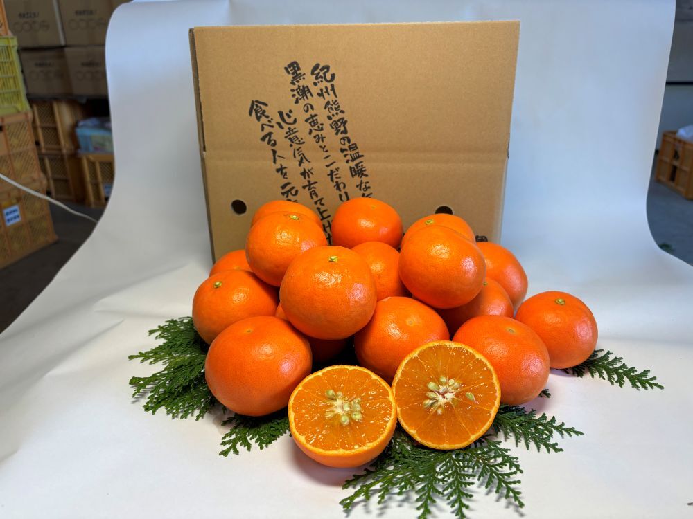 セミノール イメージ