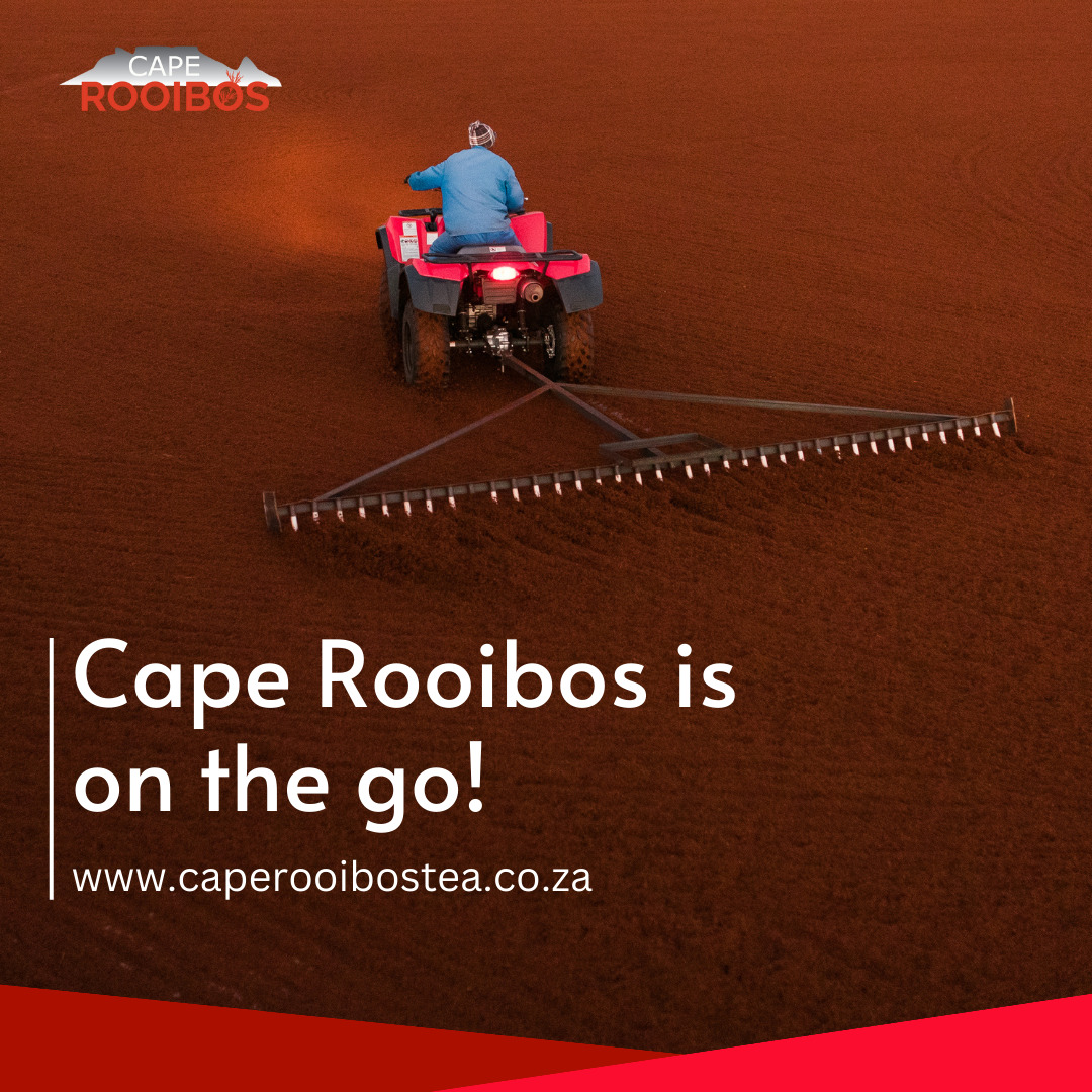 ルイボスティ Image