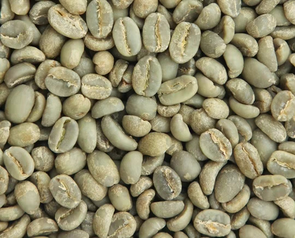 Coffee Beans Image